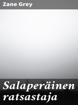 cover image of Salaperäinen ratsastaja